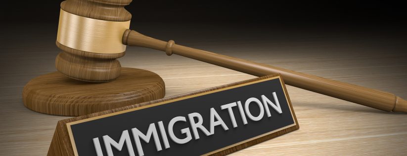 Immigration Law - S.MICHAEL & CO. LLC